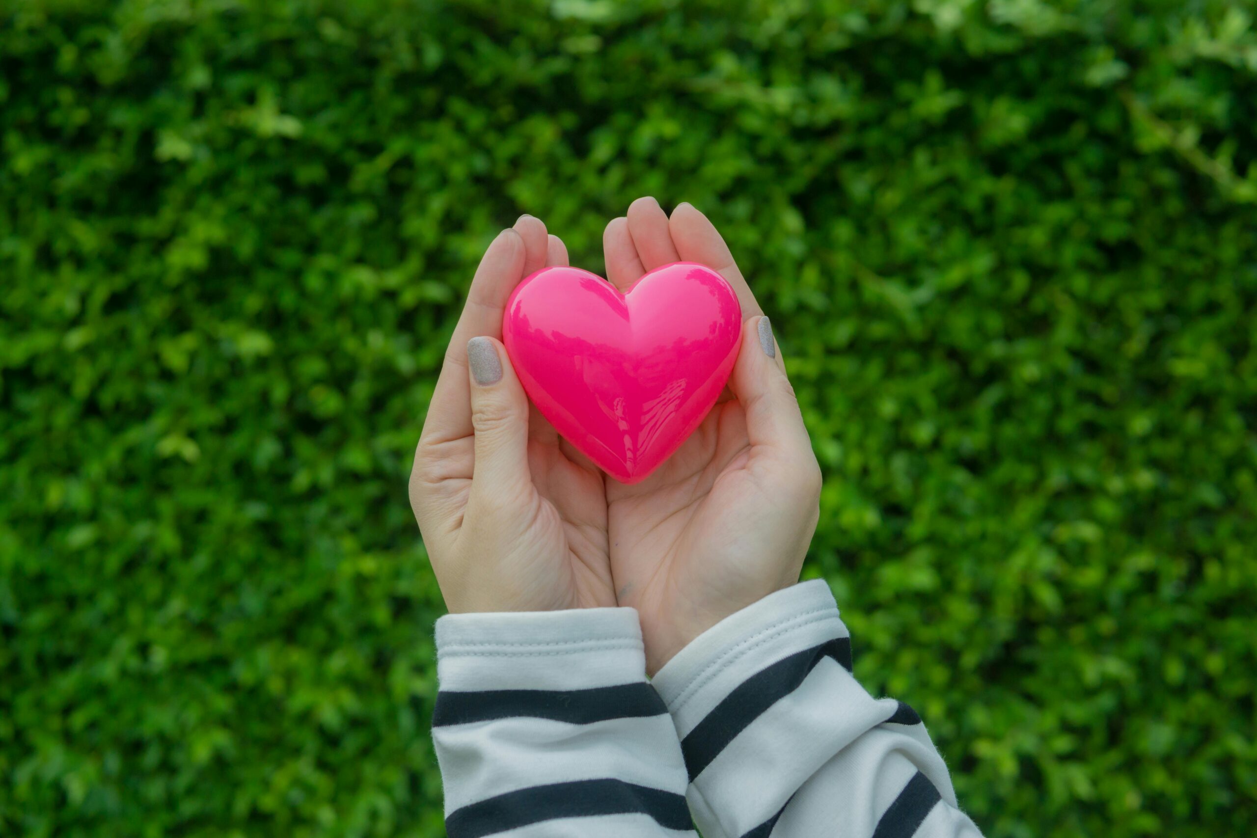 Caring hands holding a pink heart against a lush green background, symbolizing love and health.