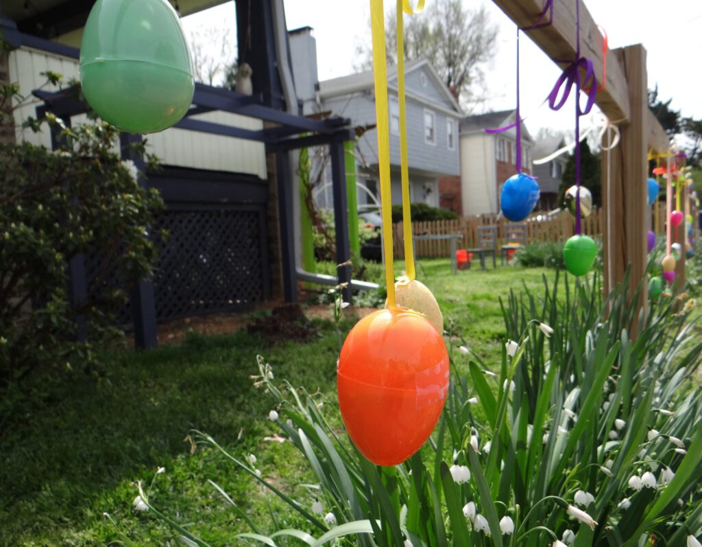 spring time eggs 2023